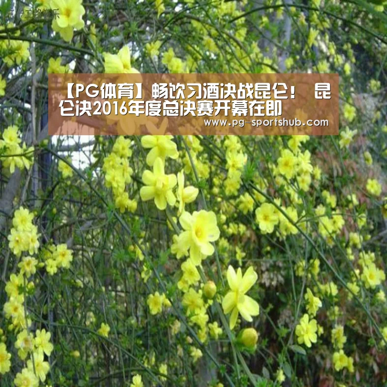 【PG体育】畅饮习酒决战昆仑! 昆仑决2016年度总决赛开幕在即(图3) PG足球
