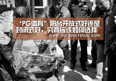 ‘PG体育’阳台开放式好还是封闭式好,究竟应该如何选择呢?(图3) PG篮球